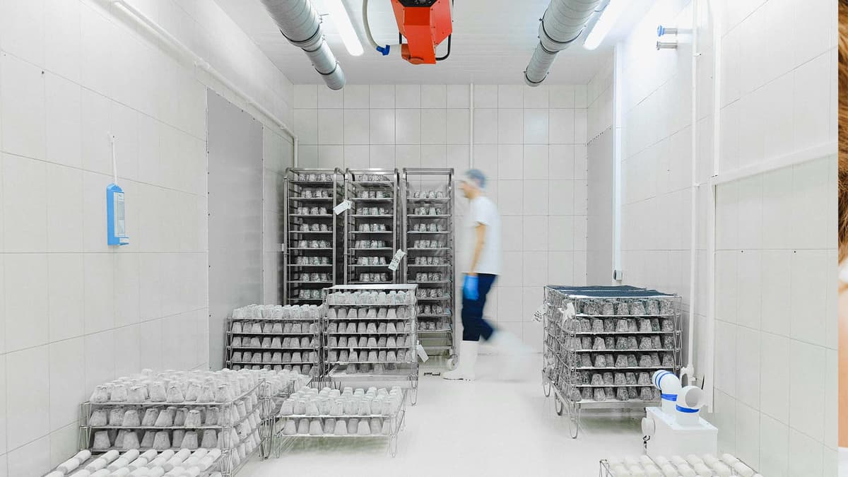 cold-chain-holtronic