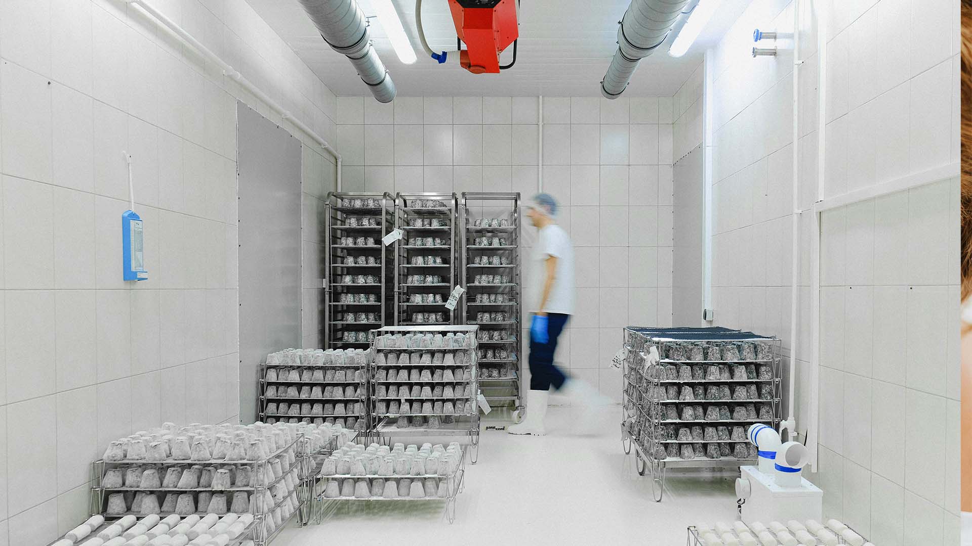 cold-chain-holtronic